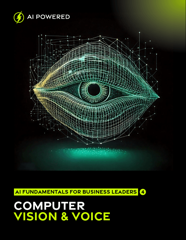 Computer vision and voice technologies: core concepts, methods and most succesful applications across industries