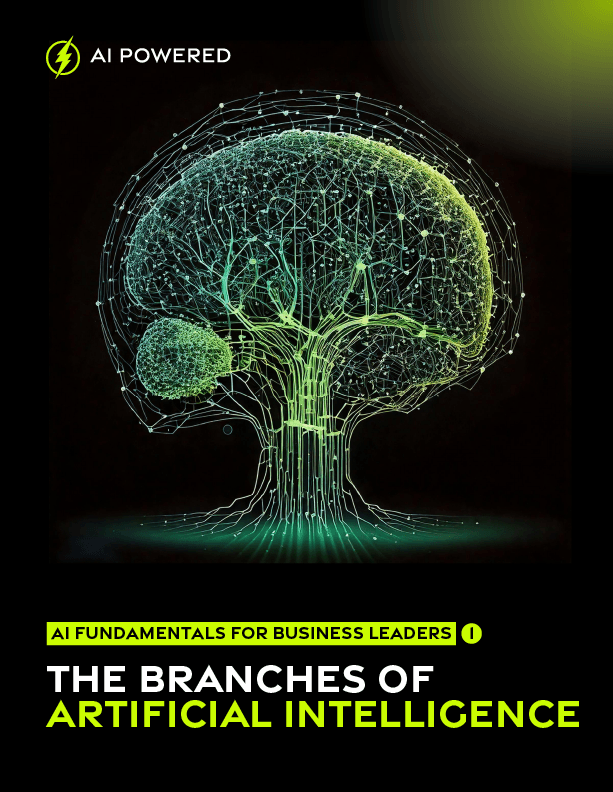 The Branches of Artificial Intelligence